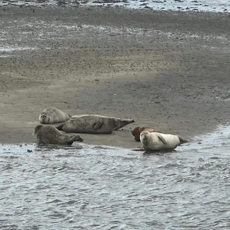 6 Person In Semesterbostad