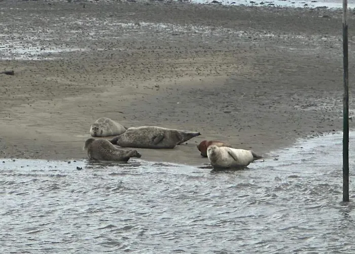 6 Person In Ferienhaus